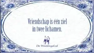 Vriendschap is één ziel...
