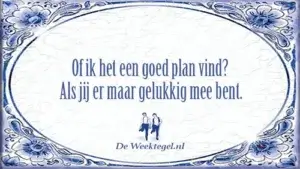Of ik het een goed plan vind...